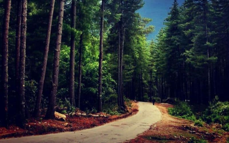 GETTING INTO BHUTAN PHUNTSHOLING